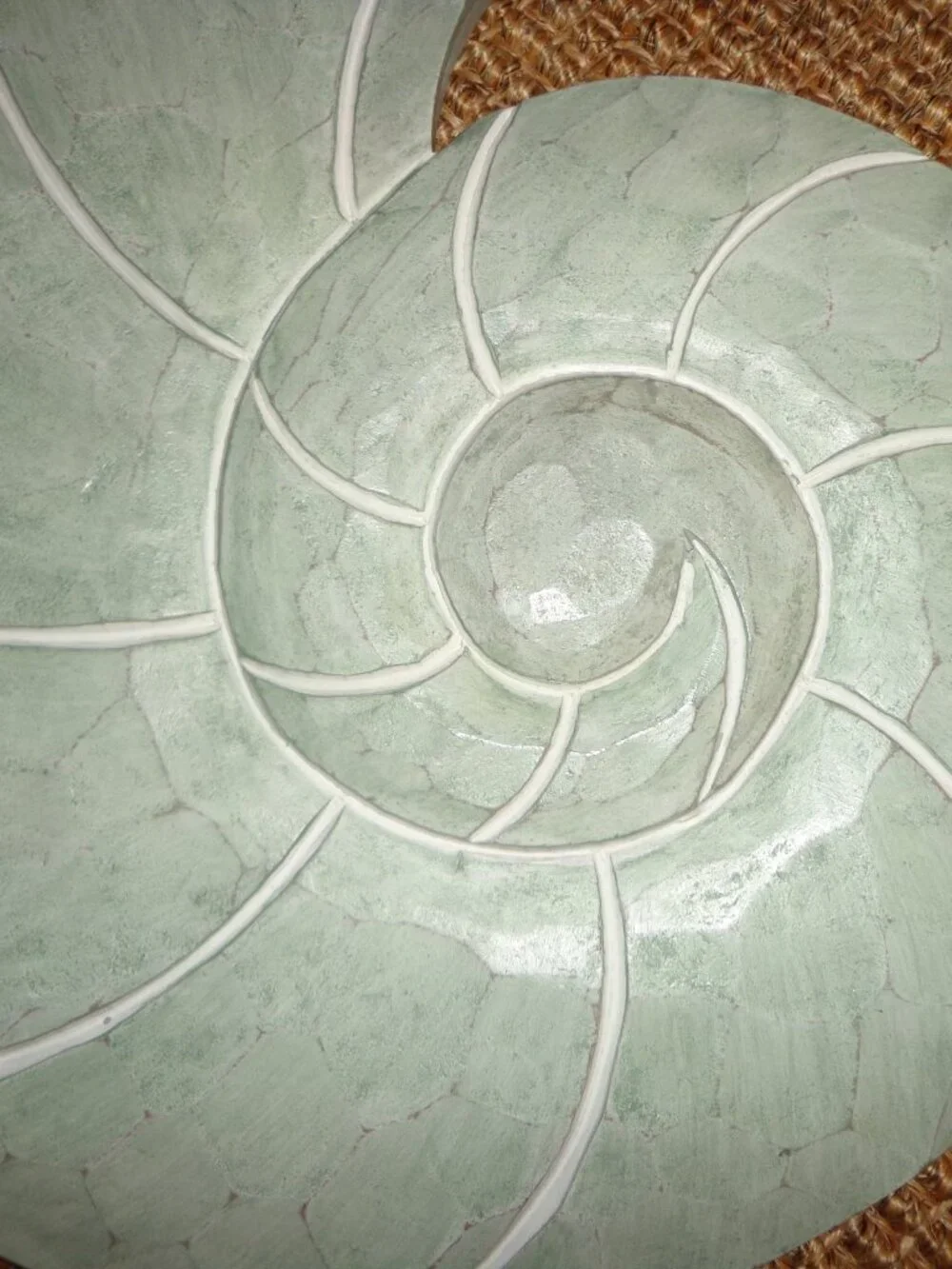 Maughan Handmade Coastal Spiral Shell Wall Decor Solid Wood By Highland Seafoam